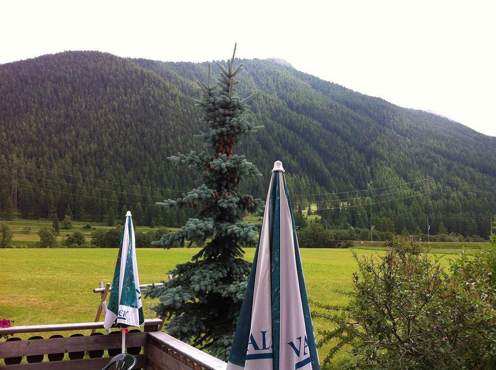 Hotel Pizzeria Selva Zernez Buitenkant foto